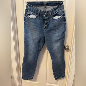 Judy Blue Boyfriend Fit - 14W